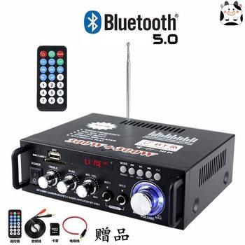 Small Amplifier Two-Channel Power Radio Bluetooth Card U Disk Radio Dc Car 12V/220V Dual-Purpose