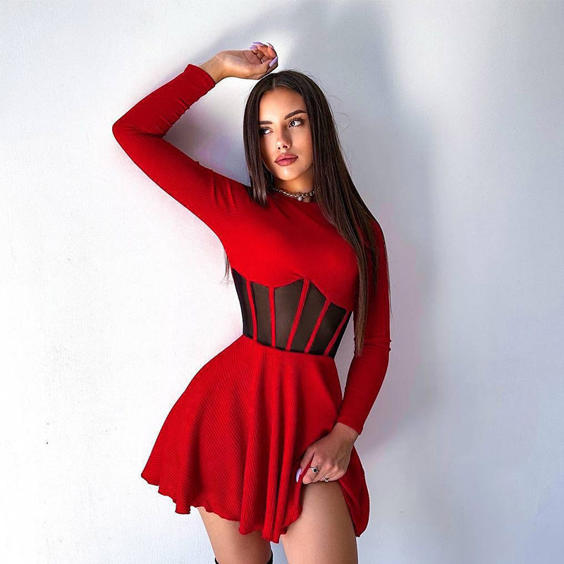 Fashionable Womens Dress Half High Neck Long Sleeve Sheer Mesh Panel Fishtail Design Waist Cinching Evening Wear
