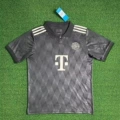 2425 gray munich top