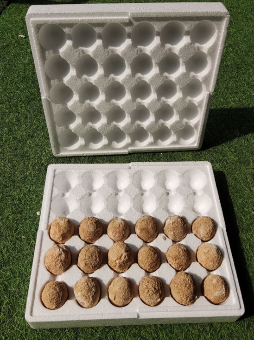 Egg Tray Plastic Foam Shock-Proof Express Packaging 30 Pieces Anti-Pressure Duck Egg Packaging Box Egg Tray Henan Boiled Egg Foam Tray