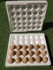 Egg Tray Plastic Foam Shock-Proof Express Packaging 30 Pieces Anti-Pressure Duck Egg Packaging Box Egg Tray Henan Boiled Egg Foam Tray