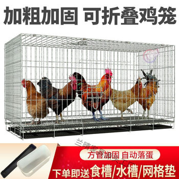 Chicken Cage Large Extra Large Size Breeding Cage Automatic Manure Clearing Chicken Cage Household Chicken Cage Multi-layer Chicken Cage Duck and Goose Rabbit Cage