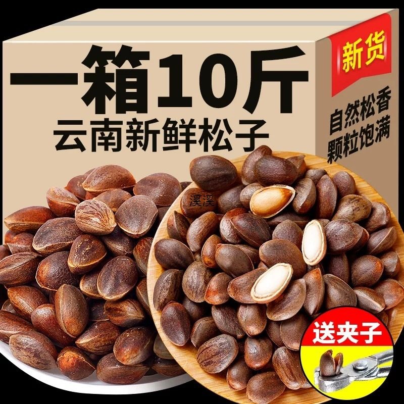 Zs2024 Yunnan Fresh Pine Nuts Original Flavor Alpine Wild Black Pine Nuts Fresh Pine Nuts Bulk Nuts Zero