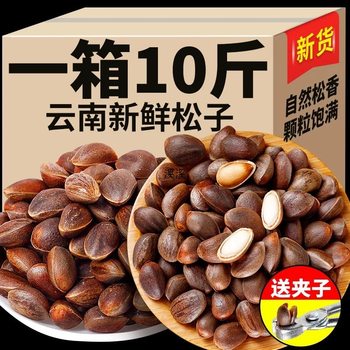 Zs2024 Yunnan Fresh Pine Nuts Original Flavor Alpine Wild Black Pine Nuts Fresh Pine Nuts Bulk Nuts Zero