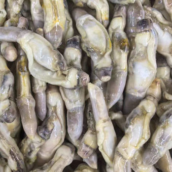 Fresh Large King Clam Meat, Frozen King Clam Meat Caught at Sea, Shellfish Seafood Catering, Frozen Seafood Wholesale