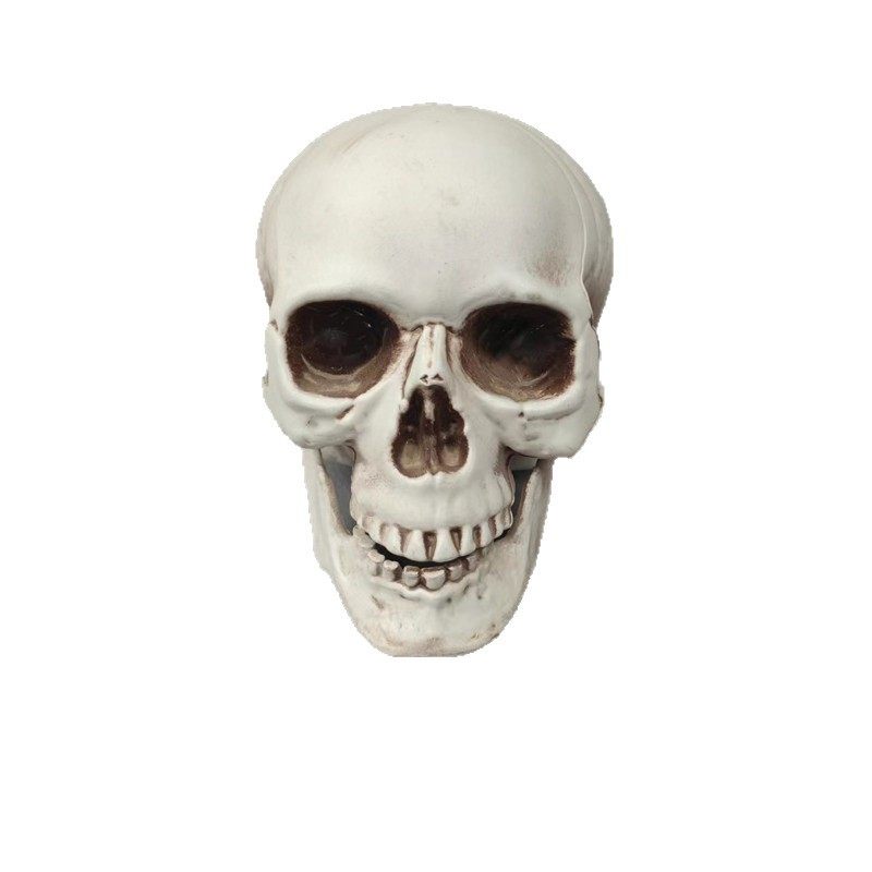 Simulated Skull Halloween Props Horror Ghost Head Bar Haunted House Secret Room Atmosphere Decoration Ornaments
