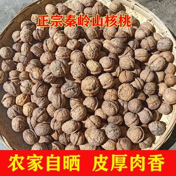 Shaanxi Shangluo Pecan 2.5kg Qinling Wild Thick-Skinned Walnut Old Variety 2024 New Arrival Old Tree Dry Walnut