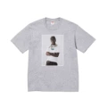S84 gray