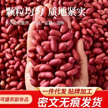 Fresh Red-Skinned Peanuts, New Stock, Raw Red-Skinned Peanuts, New Soup, Four Peanut Kernels Without Shells, Fresh for Commercial Use