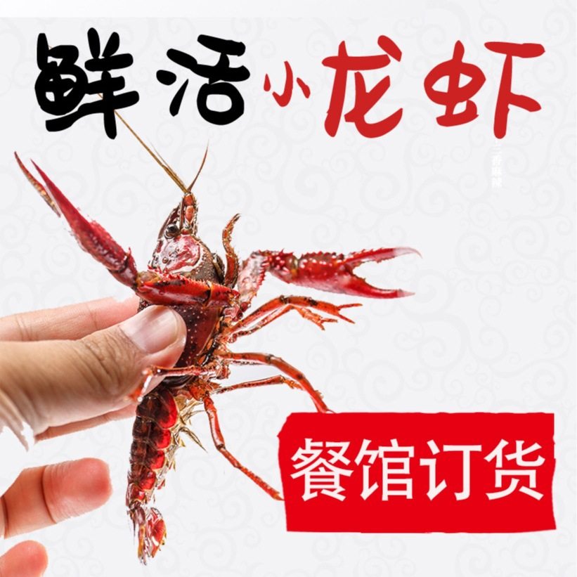 Fresh Crayfish Hubei Spot Small Green Medium Green Large Green Live Shrimp Clear Water Crayfish Aquatic Products Restaurant Commercial