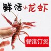 Fresh Crayfish Hubei Spot Small Green Medium Green Large Green Live Shrimp Clear Water Crayfish Aquatic Products Restaurant Commercial