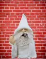 Dwarf Statue-Cigar Vertical Middle Finger