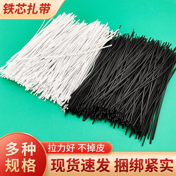 A large number of wholesale gardening wire and cable iron core ties environmental protection plastic coated iron wire Oval iron core black tie wire