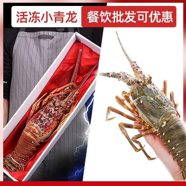 Live Frozen Small Green Dragon Lobster, Fresh Large Lobster, Australian Lobster, Chilled Seafood, Frozen Cuban Prawns, Sf Express