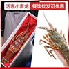 Live Frozen Small Green Dragon Lobster, Fresh Large Lobster, Australian Lobster, Chilled Seafood, Frozen Cuban Prawns, Sf Express