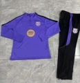 2627 barcelona purple