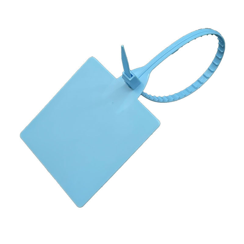 Signage Tie Disposable Express Logistics Hanging Sign Cross-Border Sticker Signage Anti-Adjustment Bag Tag Lock Anti-Counterfeiting