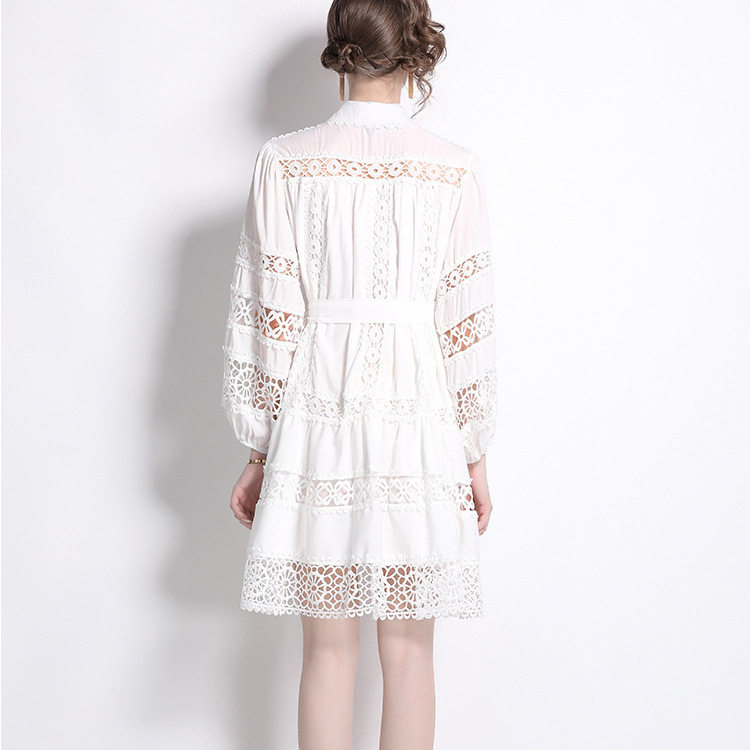 Vintage French Style Womens A Line Dress Hollow Embroidery Lace Panels Lantern Sleeves Button Closure Elegant