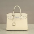 Off-White Crocodile-Pattern 25CM Silver Hardware