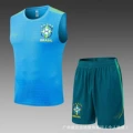 26-27 brazil blue vest suit