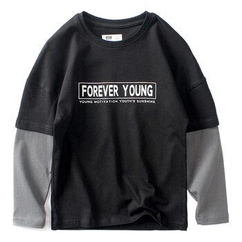 2026 Autumn Korean Style Children's Long Sleeve T-Shirt, Big Kids Pure Cotton Fake Two-Piece Top, Boys' Base Shirt Wholesale