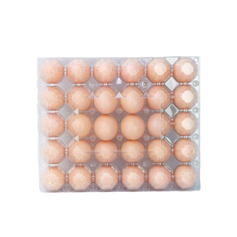 Disposable egg tray plastic packaging box 4/6/8/9/10/12/15/20/30 padded PET shockproof