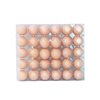 Disposable egg tray plastic packaging box 4/6/8/9/10/12/15/20/30 padded PET shockproof