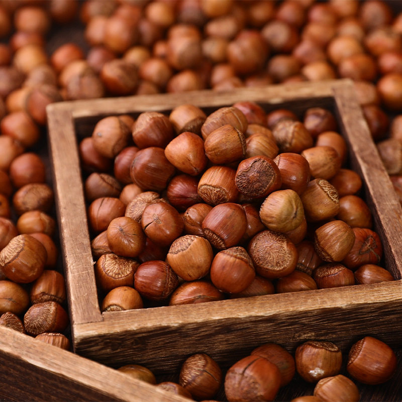 Liaoning Tieling Kaiyuan wild mountain open big hazelnut thin skin large grain nut fried goods source factory direct hair delivery