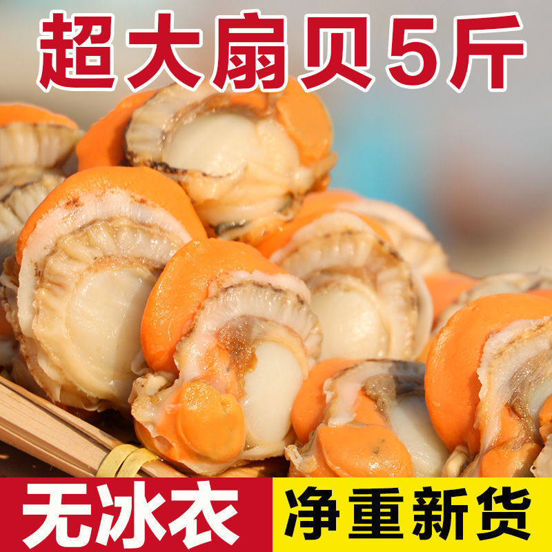 Extra Large Scallop Meat, Fresh Quick-Frozen Seafood with Yellow Ice Coating, Fresh Frozen Wild Vacuum Packaging, a Whole Box