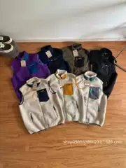 Patagonia Classic Retro-X Limited Edition Sherpa Fleece Stand Collar Zip Vest Jacket for Men and Women