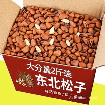 Open Pine Nuts Northeast Pine Nuts 2024 New Arrival Hand-Peeled Extra Large Granules 500g Casual Snack Nuts with Packaging