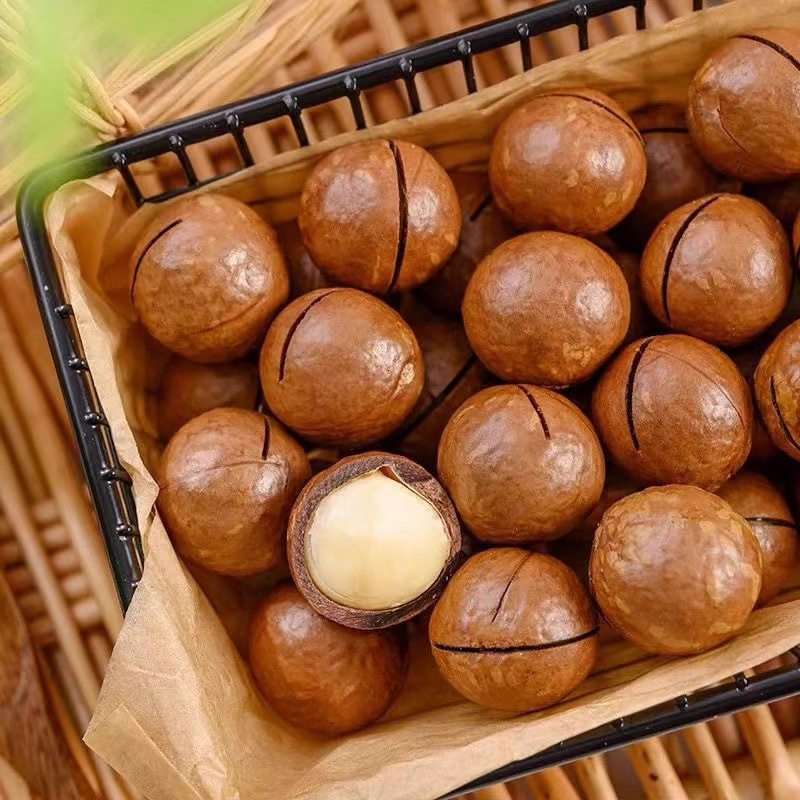 Macadamia Nuts, Minimum Order Quantity of 5kg Pieces, Minimum Order Quantity of 2.5kg Pieces Per Box, 2.5kg Macadamia Nuts with Creamy Flavor, Bulk Macadamia Nuts