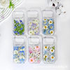 New Blue Swallow Daisy Transparent Glue Phone Case for Apple Suitable for Iphone7/17Pm Dried Flower Phone Case