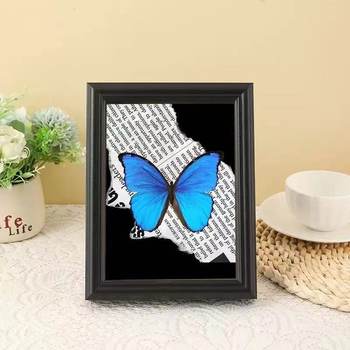 Specimen DIY Handmade Gift European Insect Butterfly Specimen Making Real Glass Photo Frame Home Decoration Stereo