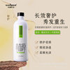 Factory Direct Sales Plant Source Shampoo Anti-Dandruff Anti-Itch Oil Control Shampoo Perfume Shower Gel Conditioner Shampoo