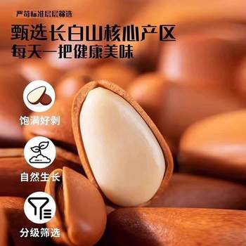 2024 New Large Grain Open Pine Nuts Non-specialty Grade Extra Large Northeast Pine Kernel Nuts Fried Snacks