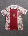 Arsenal special edition