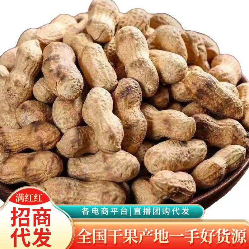 Wholesale Roasted Peanuts in Shells, Original Flavor, Popular Snacks for the New Year, Firewood Roasted Peanuts