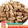 Wholesale Roasted Peanuts in Shells, Original Flavor, Popular Snacks for the New Year, Firewood Roasted Peanuts