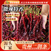 Guizhou Erjingtiao Dried Chili Pepper with Handle 500g Whole Erjingtiao Catering Commercial Slightly Spicy Special Fragrant Dried Chili Pepper