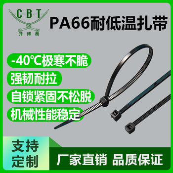 -40 ℃ Extreme Cold-Resistant Freezer Outdoor Engineering Strong and Durable Anti-Cracking Pa66 Low-Temperature Resistant Cable Ties Nylon
