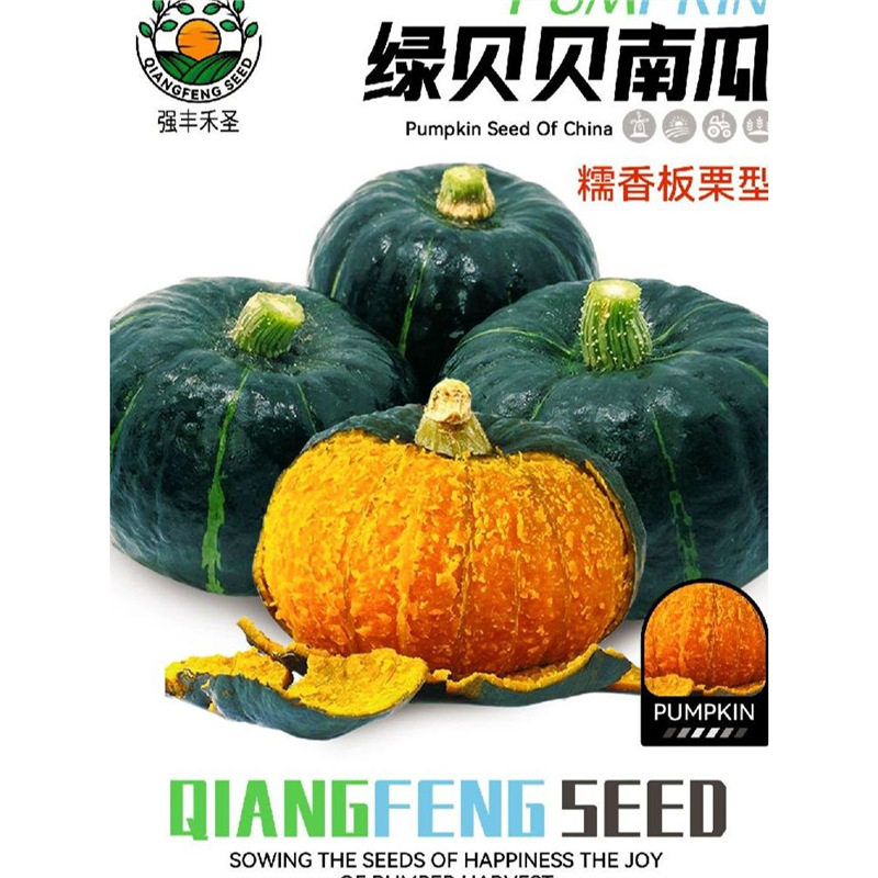 [Super Sweet and Glutinous] Beibei Pumpkin Seeds High-Yielding Sweet Glutinous Chestnut Green Beibei Small Pumpkin Four-Season Vegetable Seeds