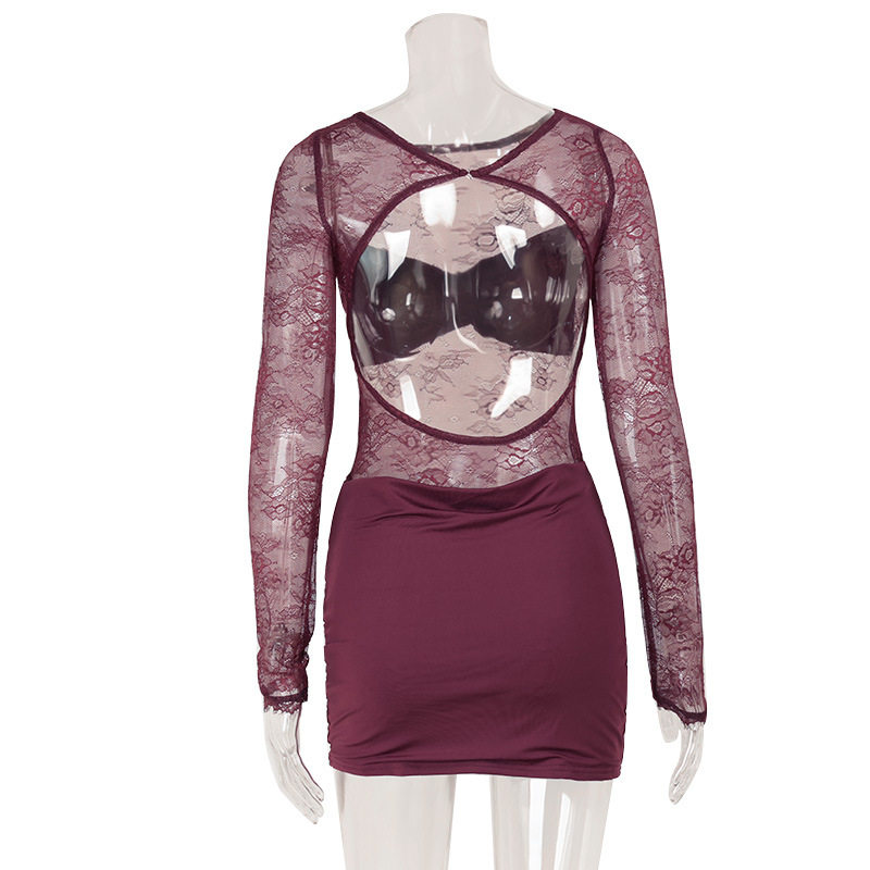 Lace Trimmed Bodycon Mini Dress Sheer Panels Long Sleeve Fashionable Design Nightclub Wear for Women Wholesale