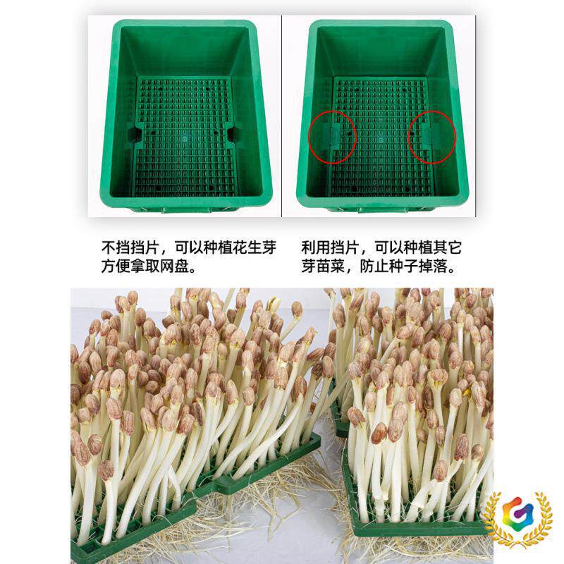 ◈ Peanut Sprout Hydroponic Box, Mung Bean Sprout Seedling Tray, Sprout Vegetable Planting Box, Raw Soybean Sprout Container, Household Plastic