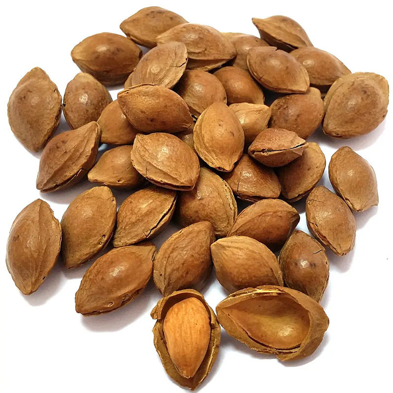 Xinjiang specialty open apricot kernels hand-peeled Kuqa small white apricot cooked almond nuts Kashi raw almond wholesale and retail