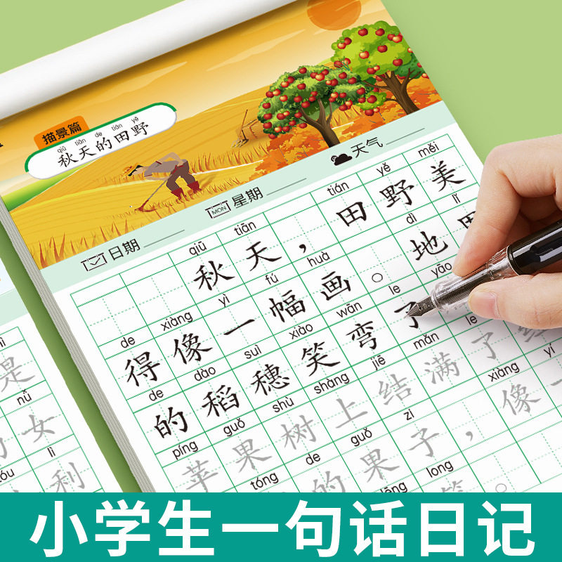 A word diary practice copybook, grade one, two and three, reading pictures, writing words, books, special composition book for primary school students, exercise paper