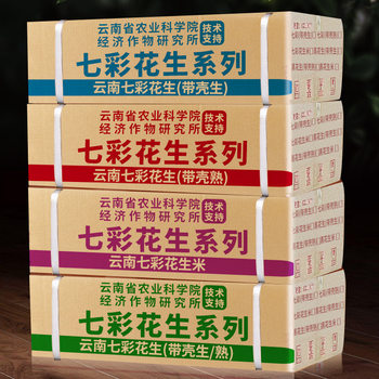 New goods Yunnan colorful peanut with Shell raw and cooked colorful milk peanut hotel Commercial peanut full box wholesale