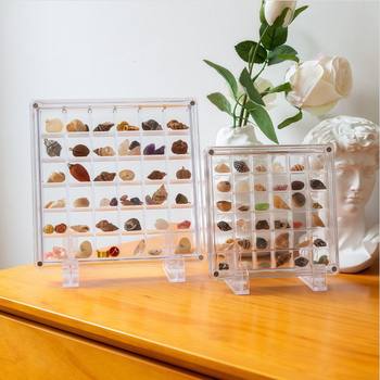 Acrylic Shell Storage Box High Permeability Magnetic Suction with Lid Seaside Mini Shell Storage Box Shell Storage Display Box