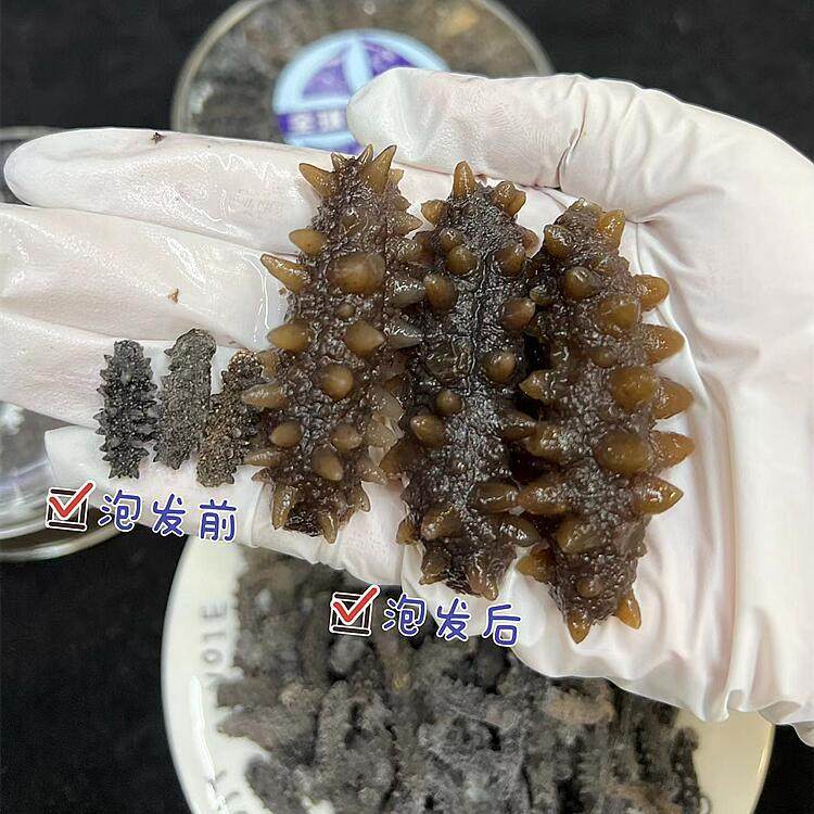 Russian Pure Light-Dried Deep-Sea Sea Cucumber, All Specifications, Factory Direct Supply, Fully Dried, 15 Times Expansion, Small Wholesale Seafood