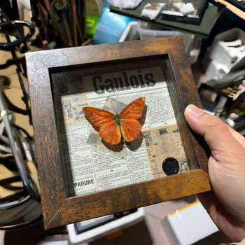 Retro Stereo Hollow Photo Frame Butterfly Insect Shell Plant Specimen Frame High-End Table Self-Embellished Display Frame